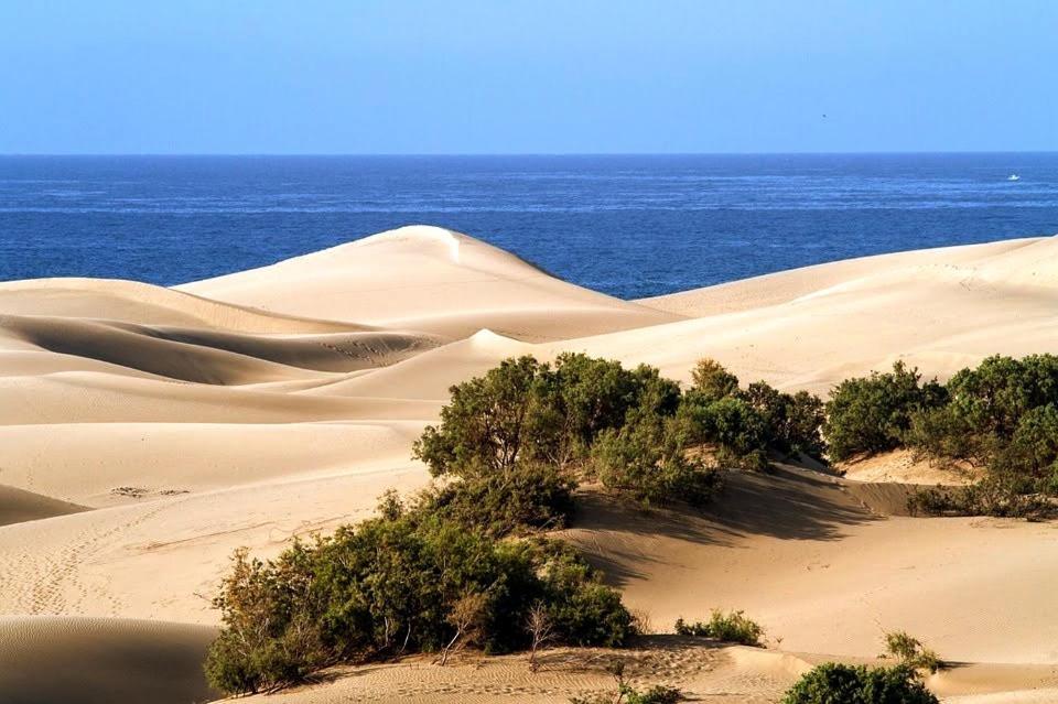 Cozy Maspalomas * Maspalomas (Gran Canaria)